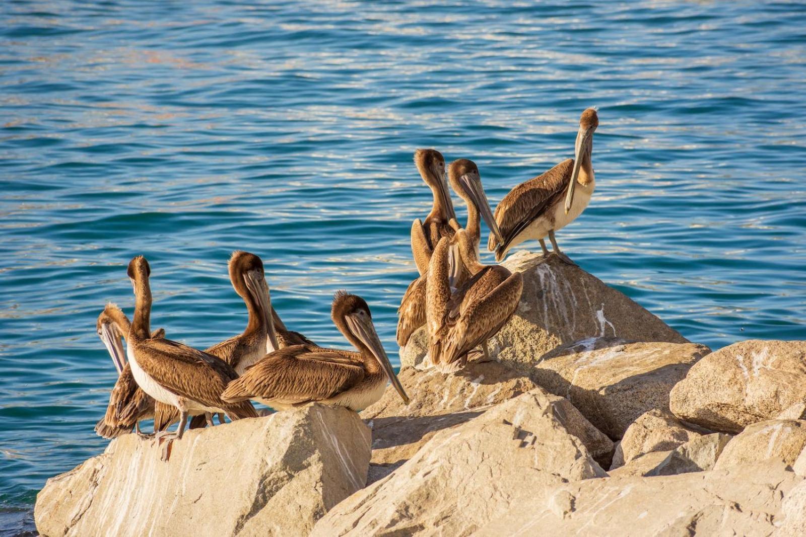 Morro Bay Beach Inn Zewnętrze zdjęcie