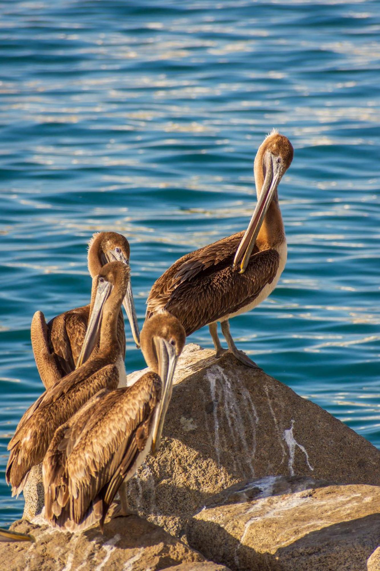 Morro Bay Beach Inn Zewnętrze zdjęcie